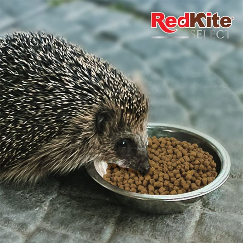ALIMENTO P/ERIZOS SELECT 800 GRS.
